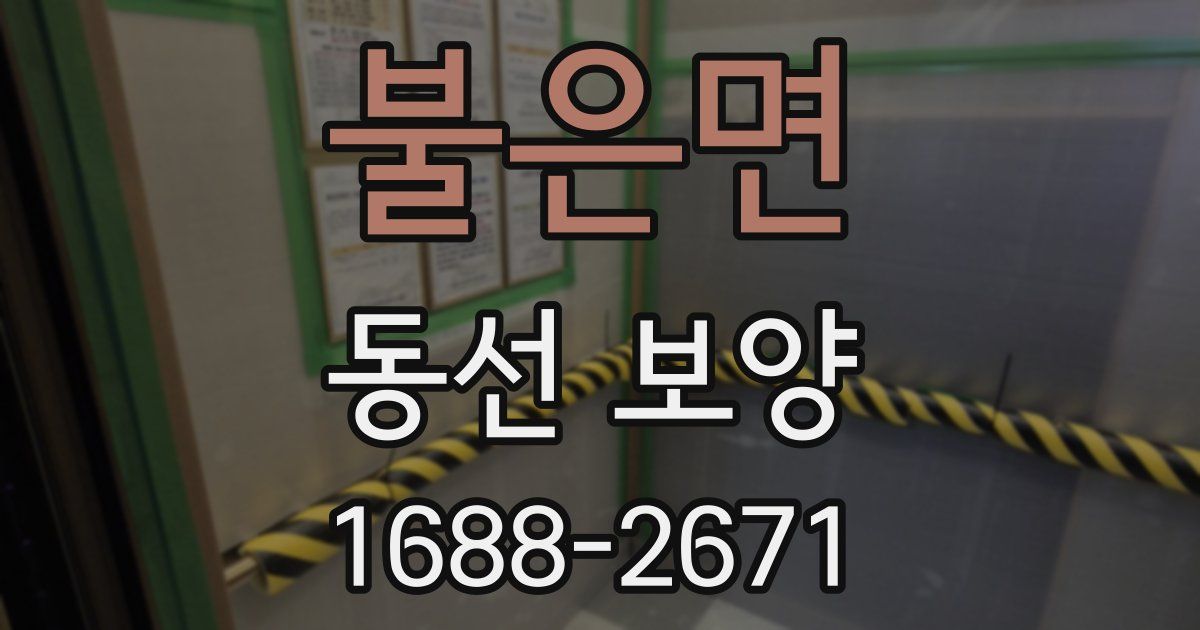불은면 동선 보양