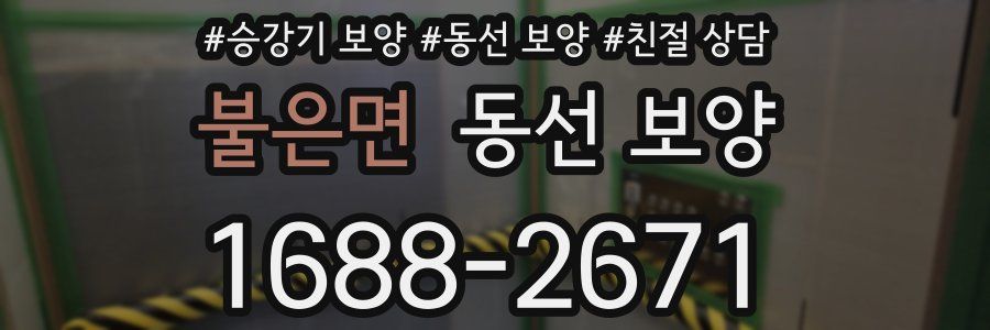 불은면 동선 보양