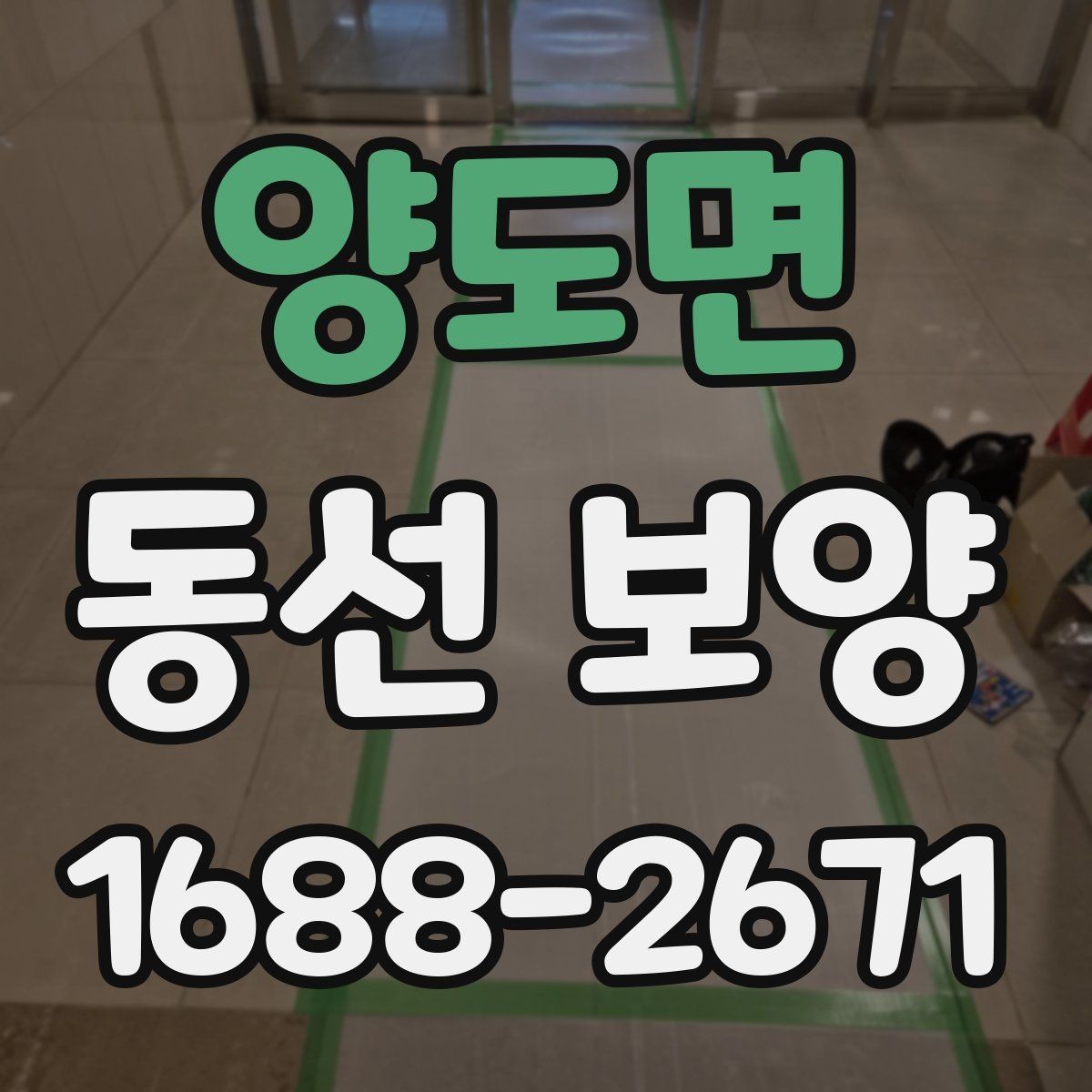 양도면 동선 보양 현장에서는 어떤 점을 먼저 볼까
