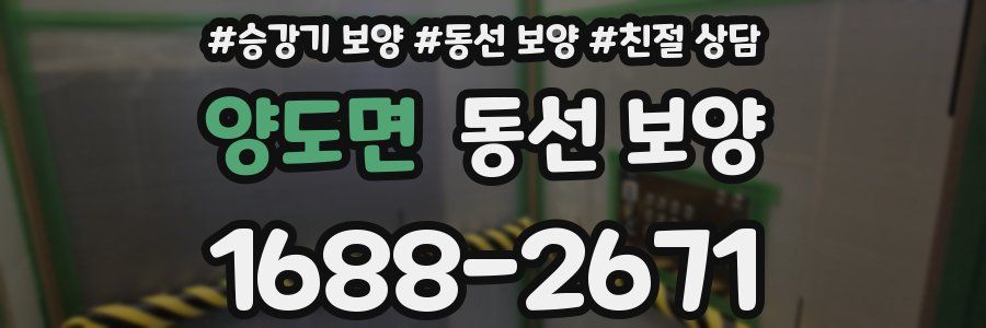 양도면 동선 보양