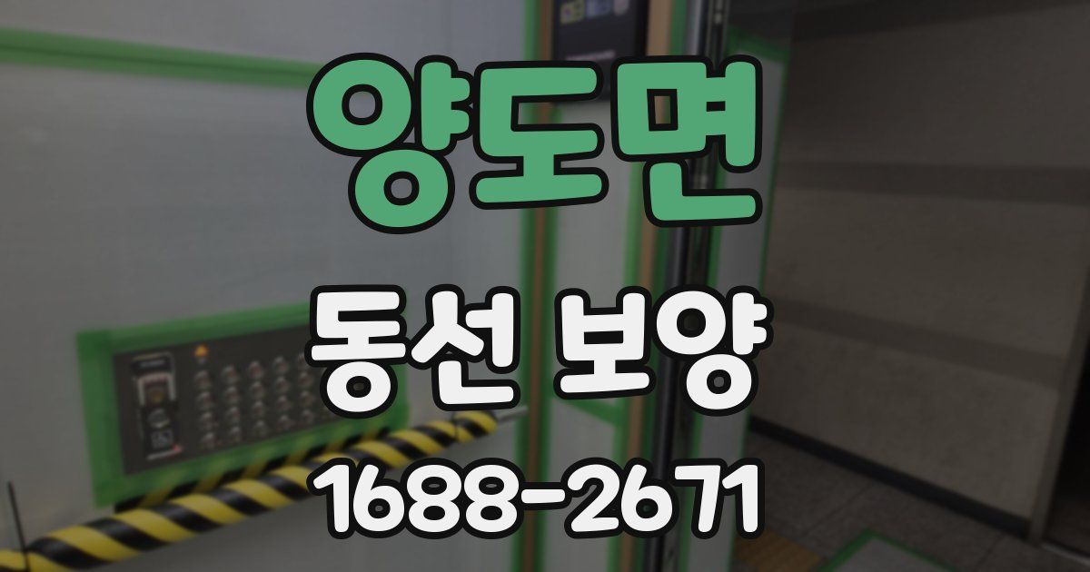 양도면 동선 보양