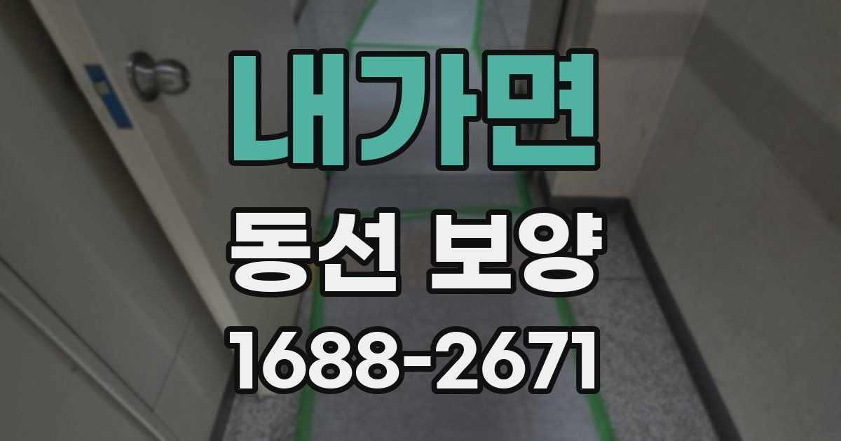 내가면 동선 보양