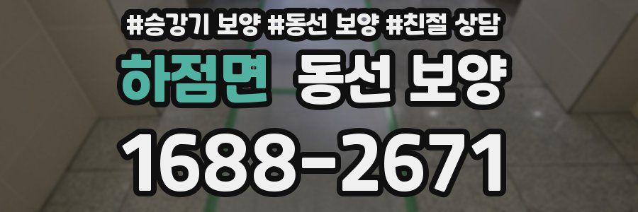 하점면 동선 보양