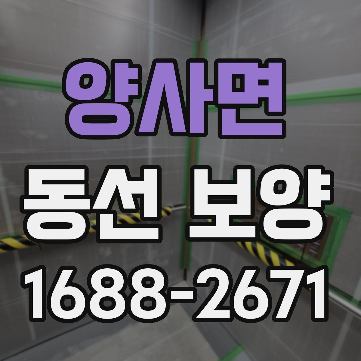 양사면 동선 보양 후 정리까지 고려해야 하는 이유