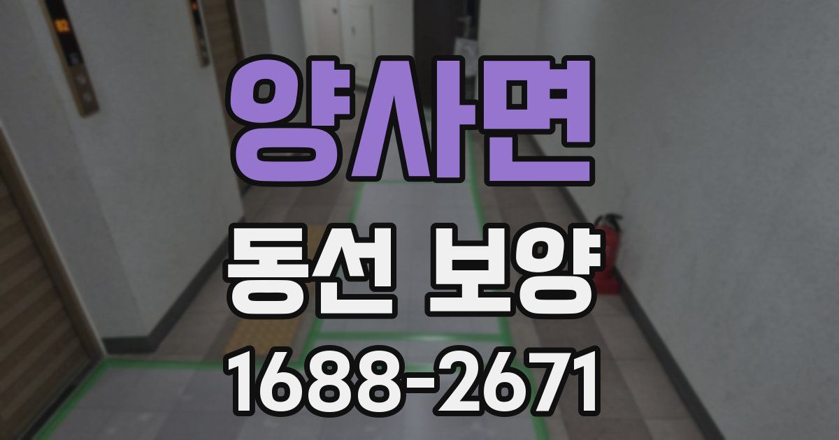 양사면 동선 보양