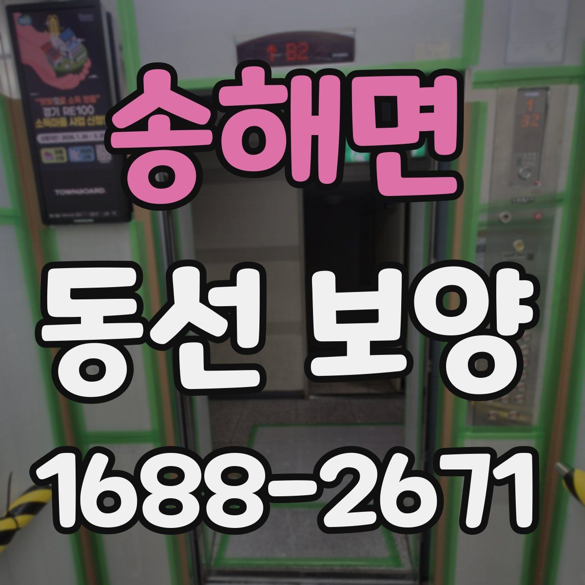 송해면 동선 보양