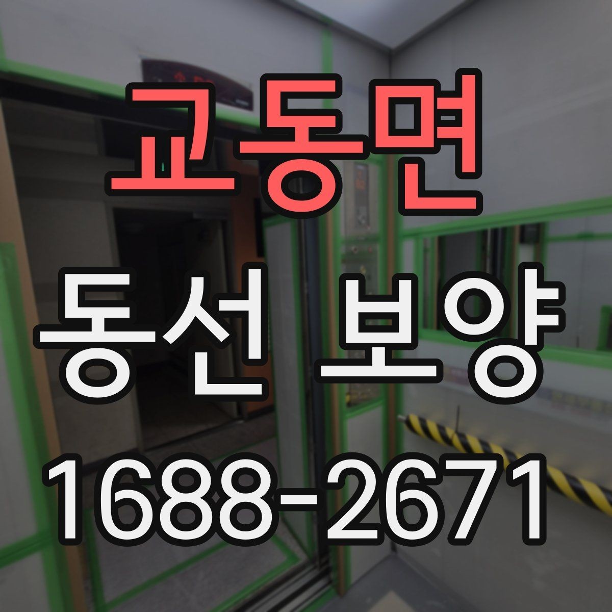 교동면 동선 보양 현장에서 주의할 점 정리
