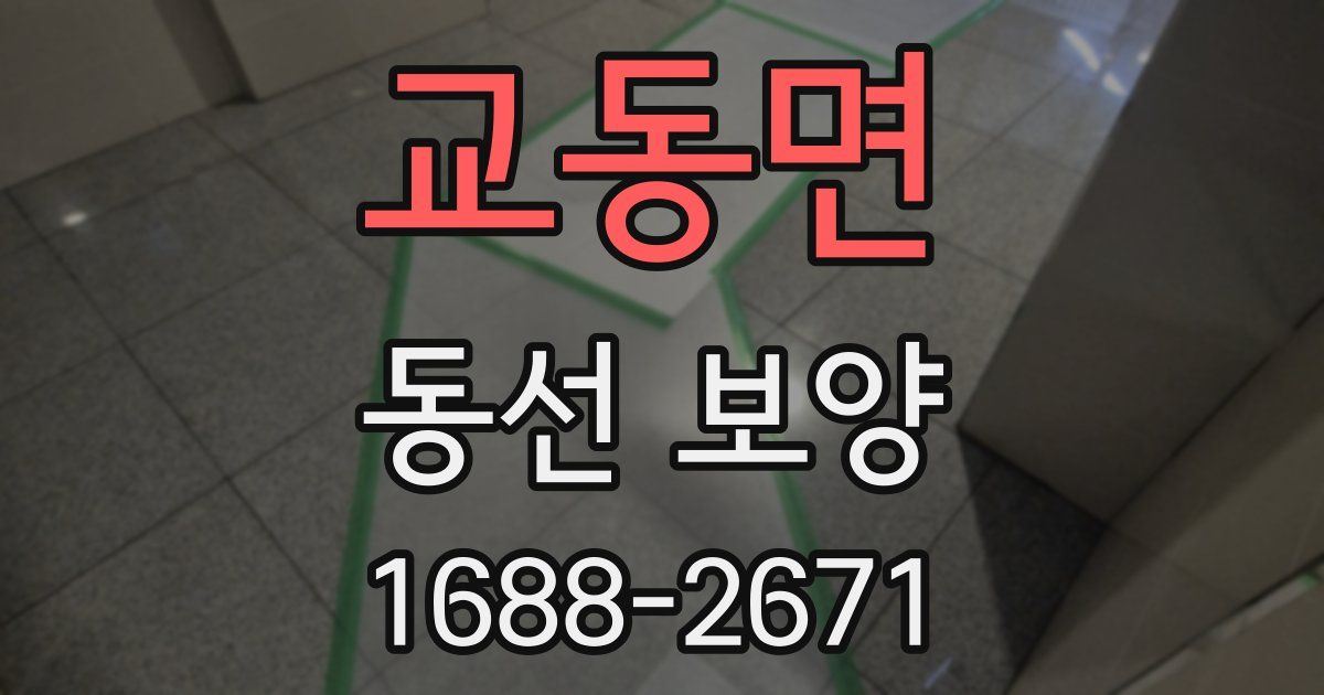 교동면 동선 보양