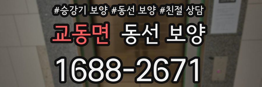 교동면 동선 보양
