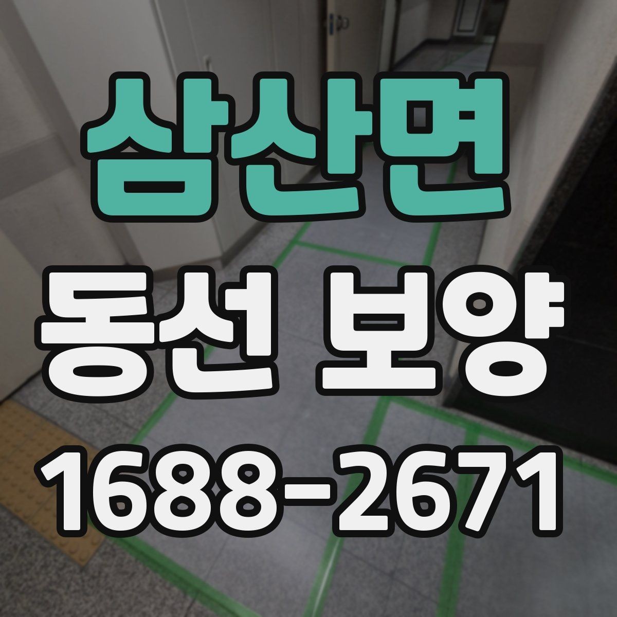 삼산면 동선 보양 비용 견적을 볼 때 확인할 항목