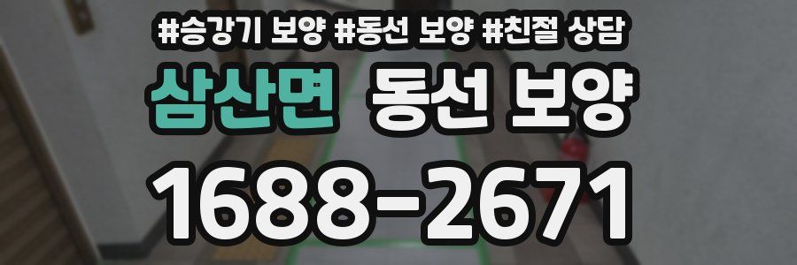 삼산면 동선 보양