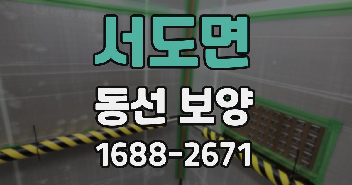 서도면 동선 보양