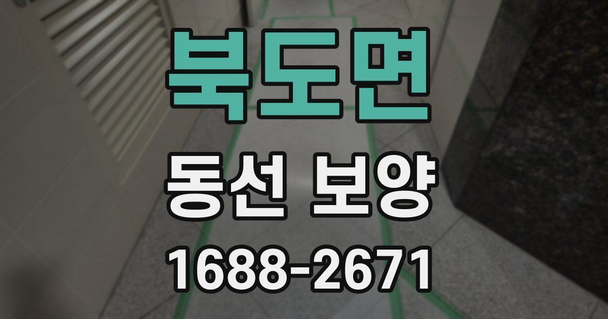 북도면 동선 보양