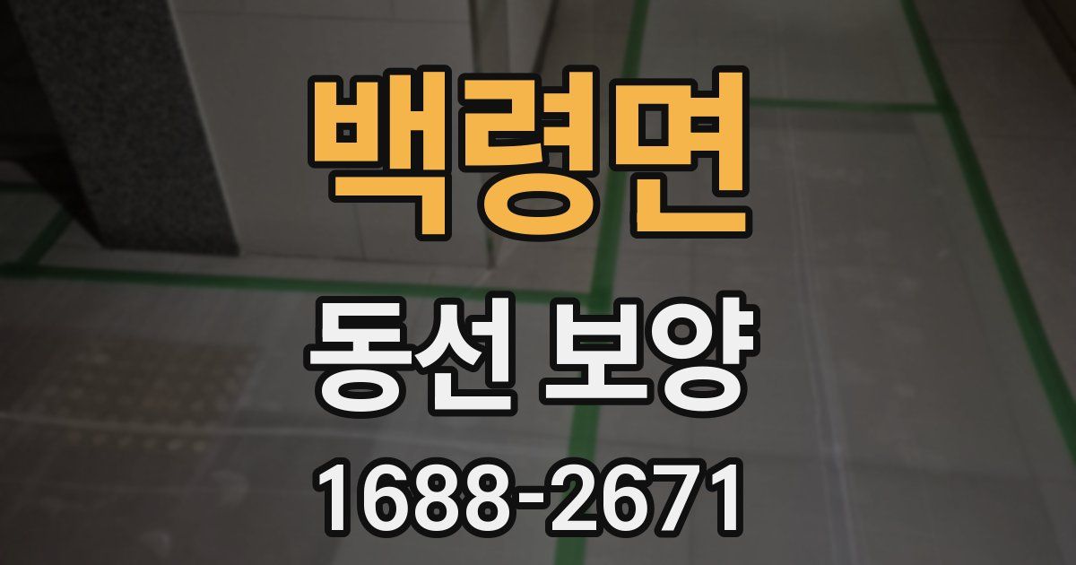 백령면 동선 보양