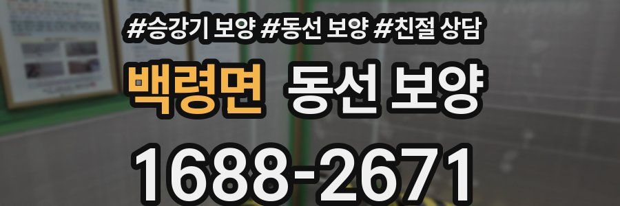 백령면 동선 보양