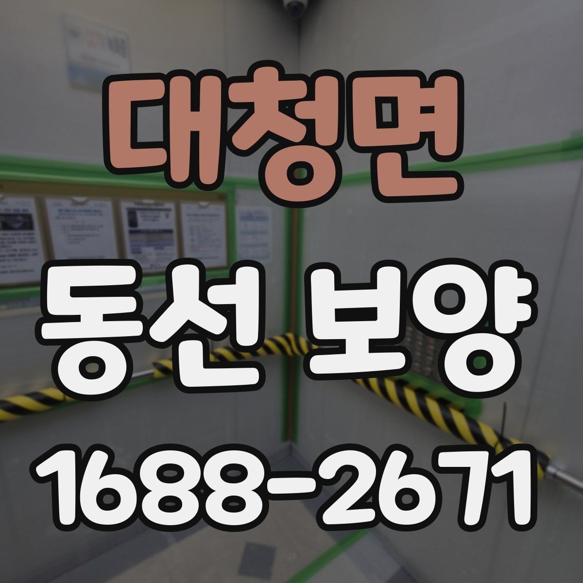 대청면 동선 보양 자재 선택 시 살펴볼 기준