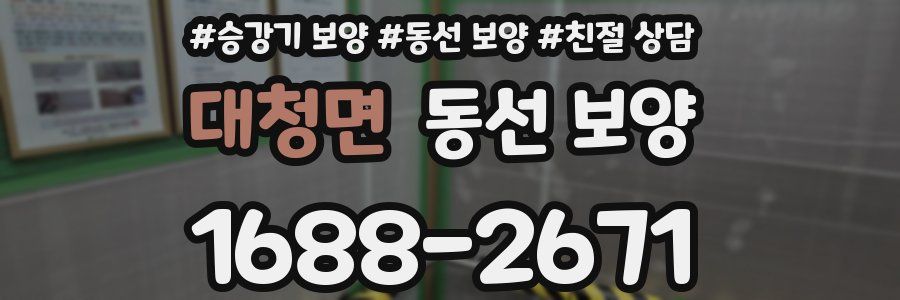 대청면 동선 보양