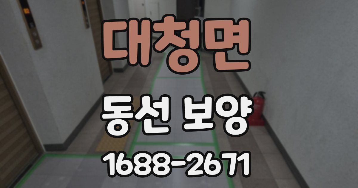 대청면 동선 보양