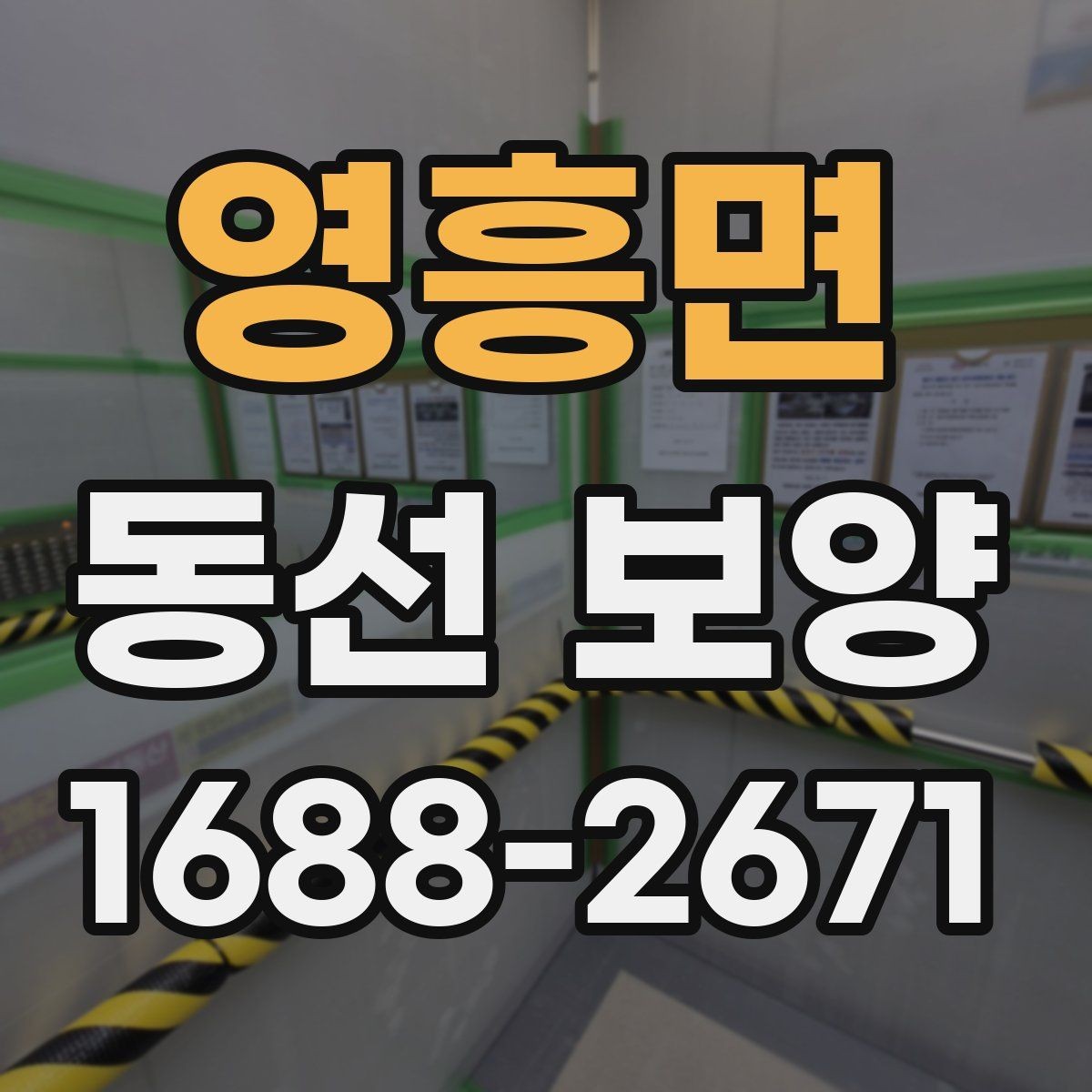 영흥면 동선 보양 비용은 어떤 요소로 달라질까
