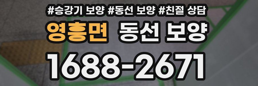영흥면 동선 보양