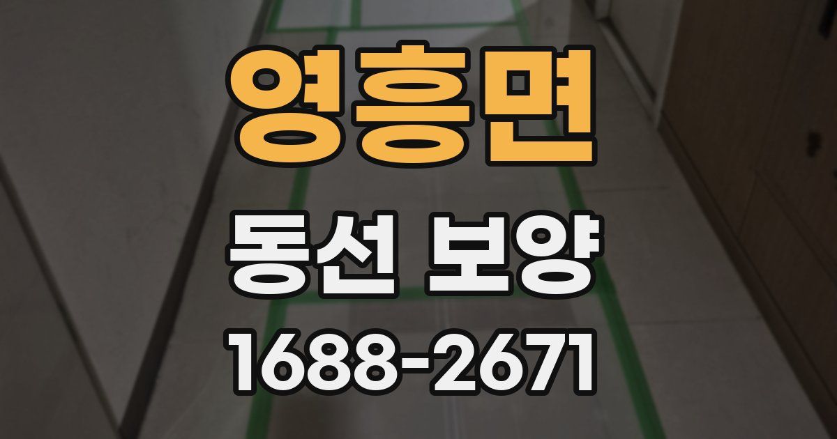 영흥면 동선 보양