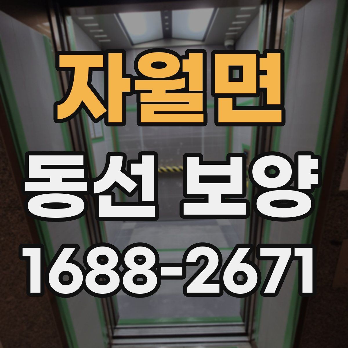 자월면 동선 보양 범위와 진행 순서 알아보기