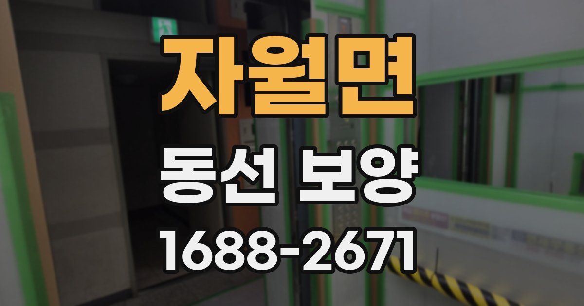 자월면 동선 보양