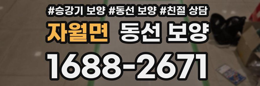 자월면 동선 보양