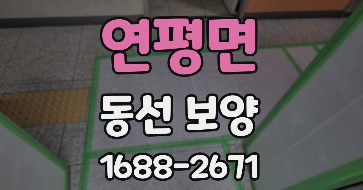 연평면 동선 보양