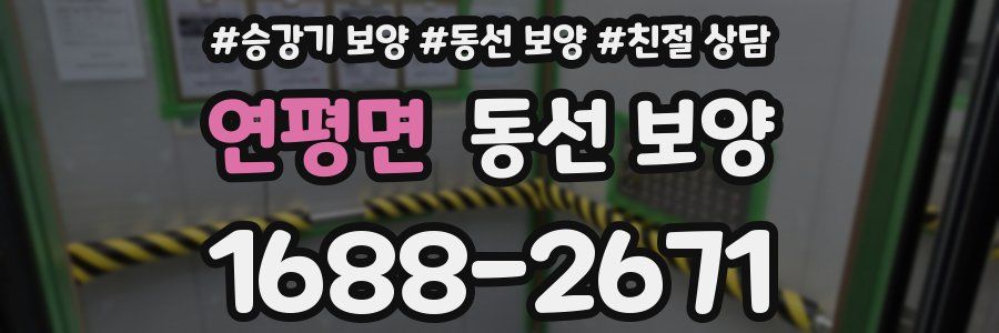 연평면 동선 보양