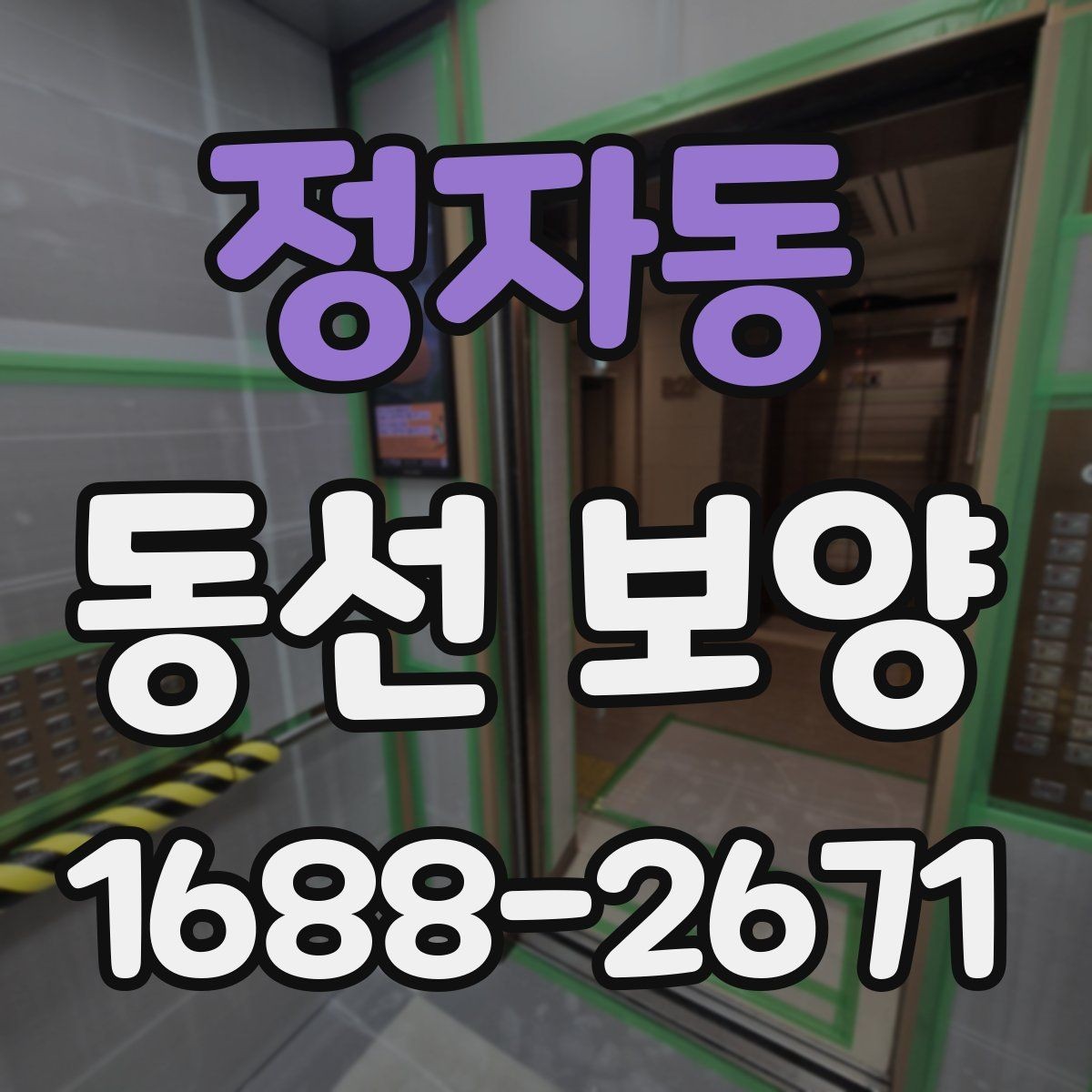 정자동 동선 보양 마감 상태를 확인하는 방법