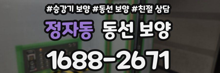 정자동 동선 보양