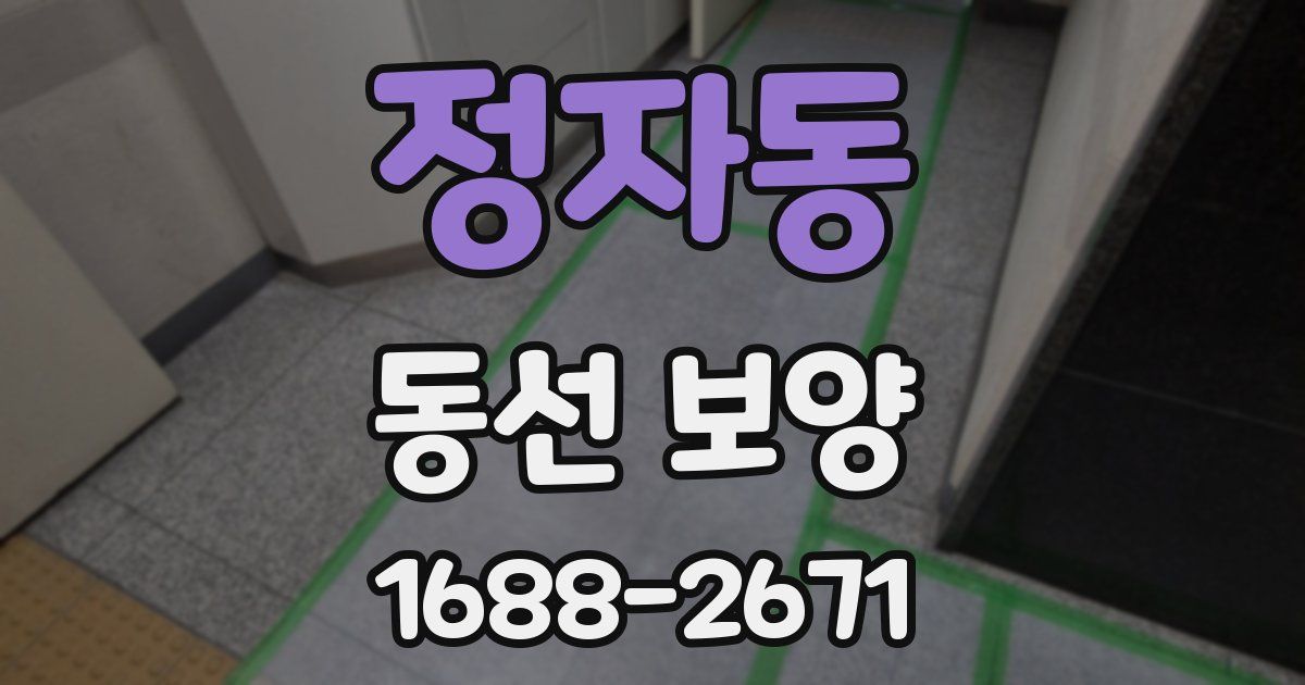 정자동 동선 보양