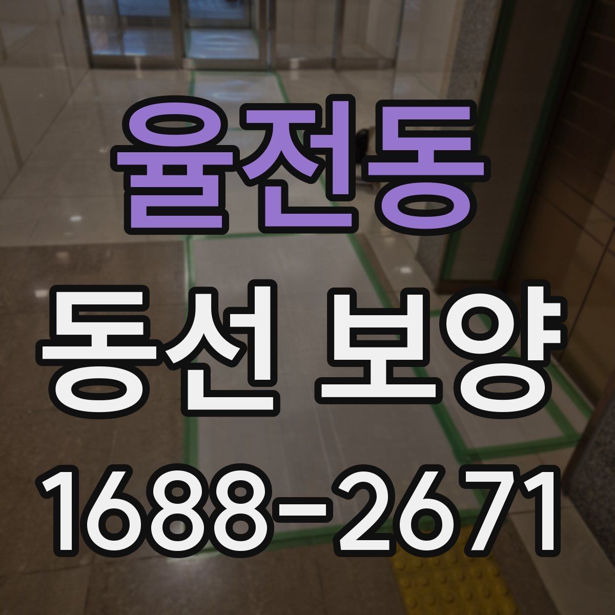 율전동 동선 보양 선택 시 품질과 비용을 함께 보는 법