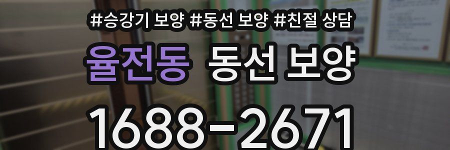 율전동 동선 보양