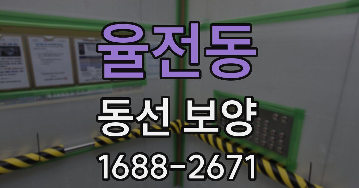 율전동 동선 보양