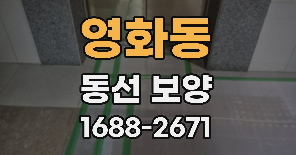 영화동 동선 보양