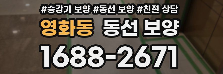 영화동 동선 보양