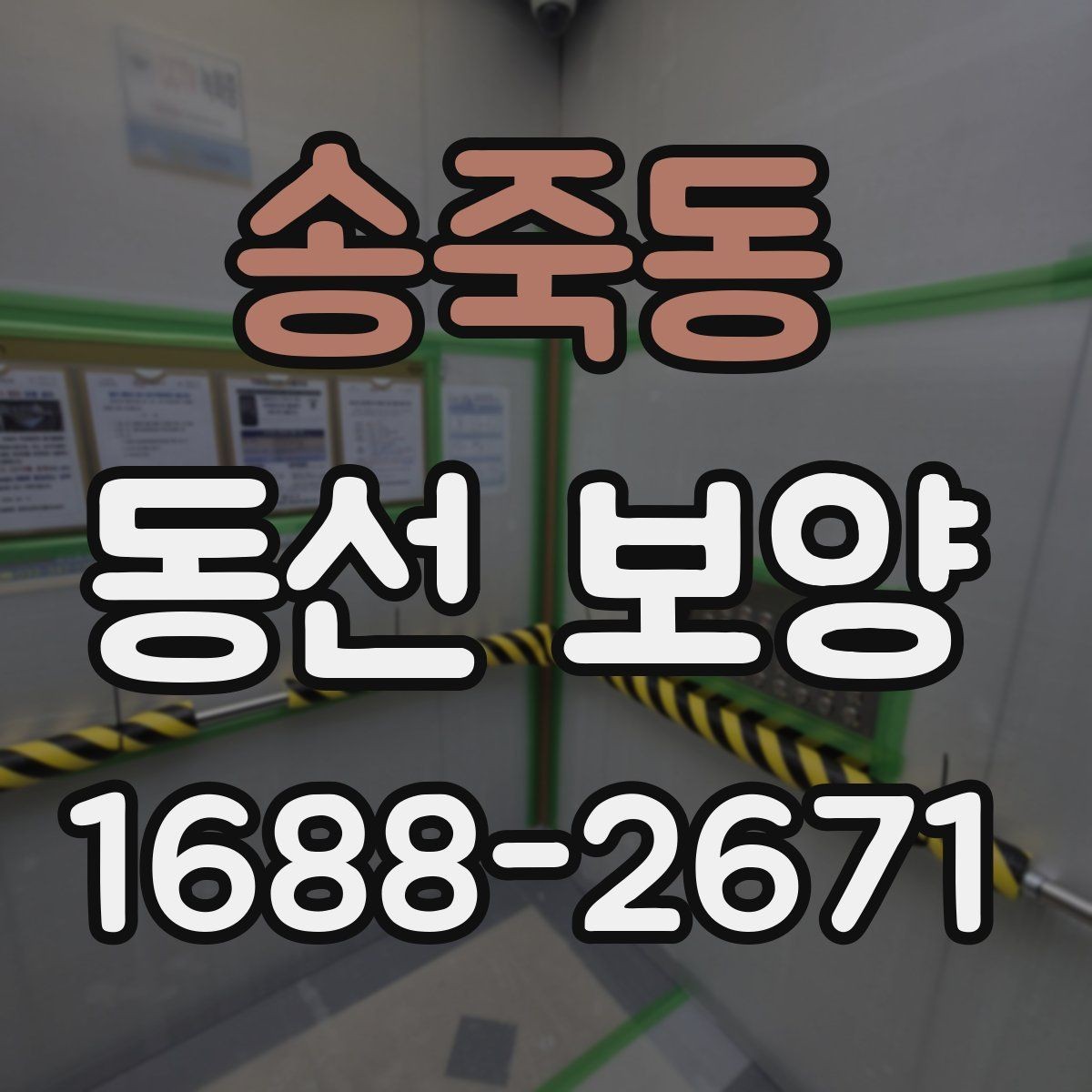 송죽동 동선 보양 작업에서 안전을 우선해야 하는 이유