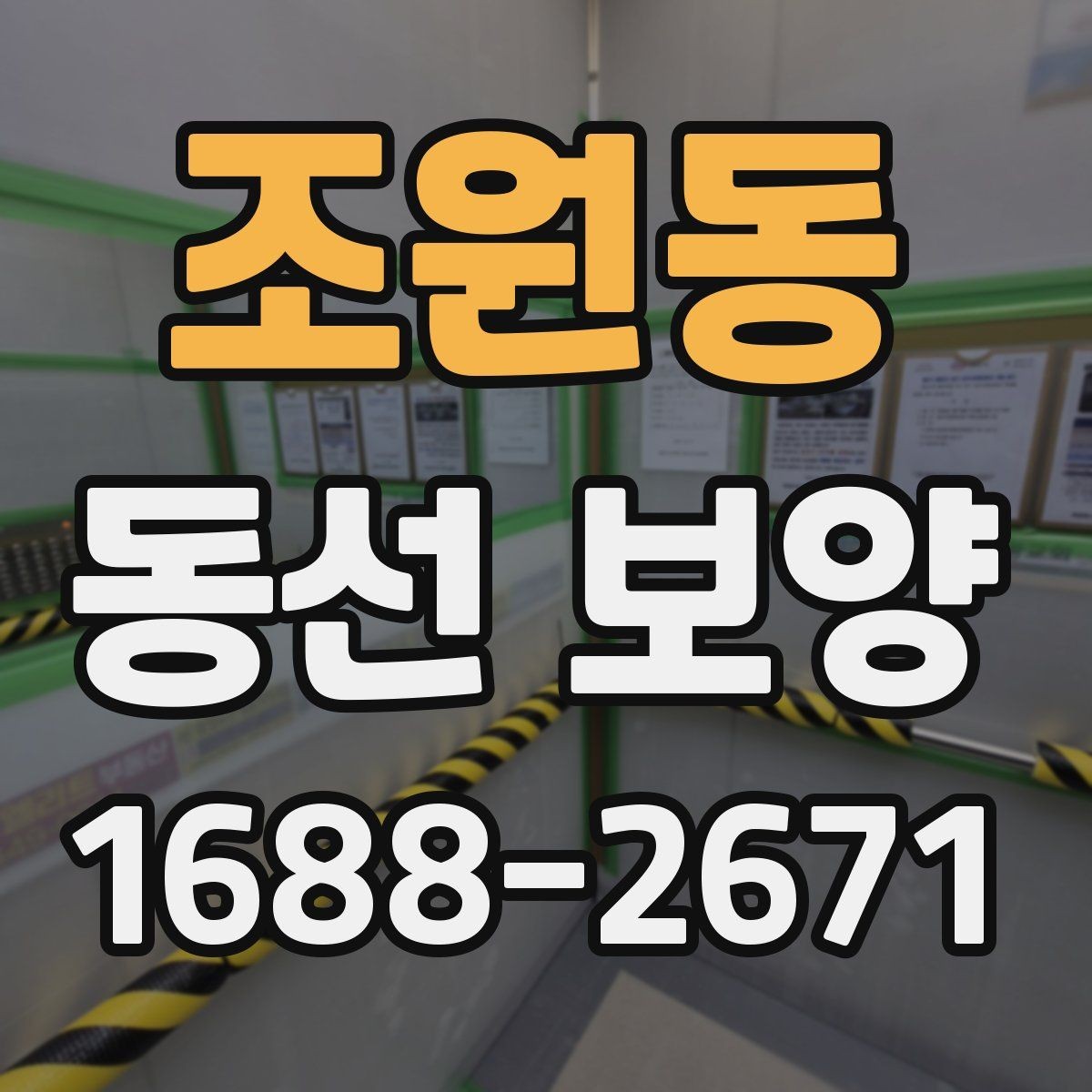 조원동 동선 보양 시 주의해야 할 안전과 동선 관리