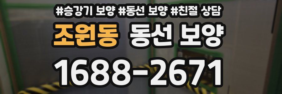 조원동 동선 보양