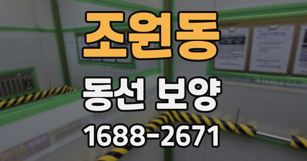 조원동 동선 보양