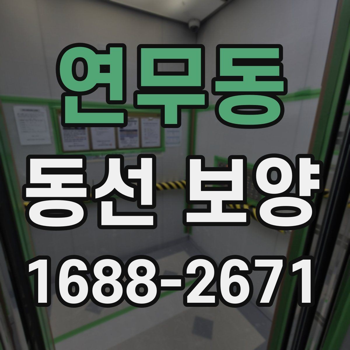 연무동 동선 보양 일정 잡을 때 참고할 내용