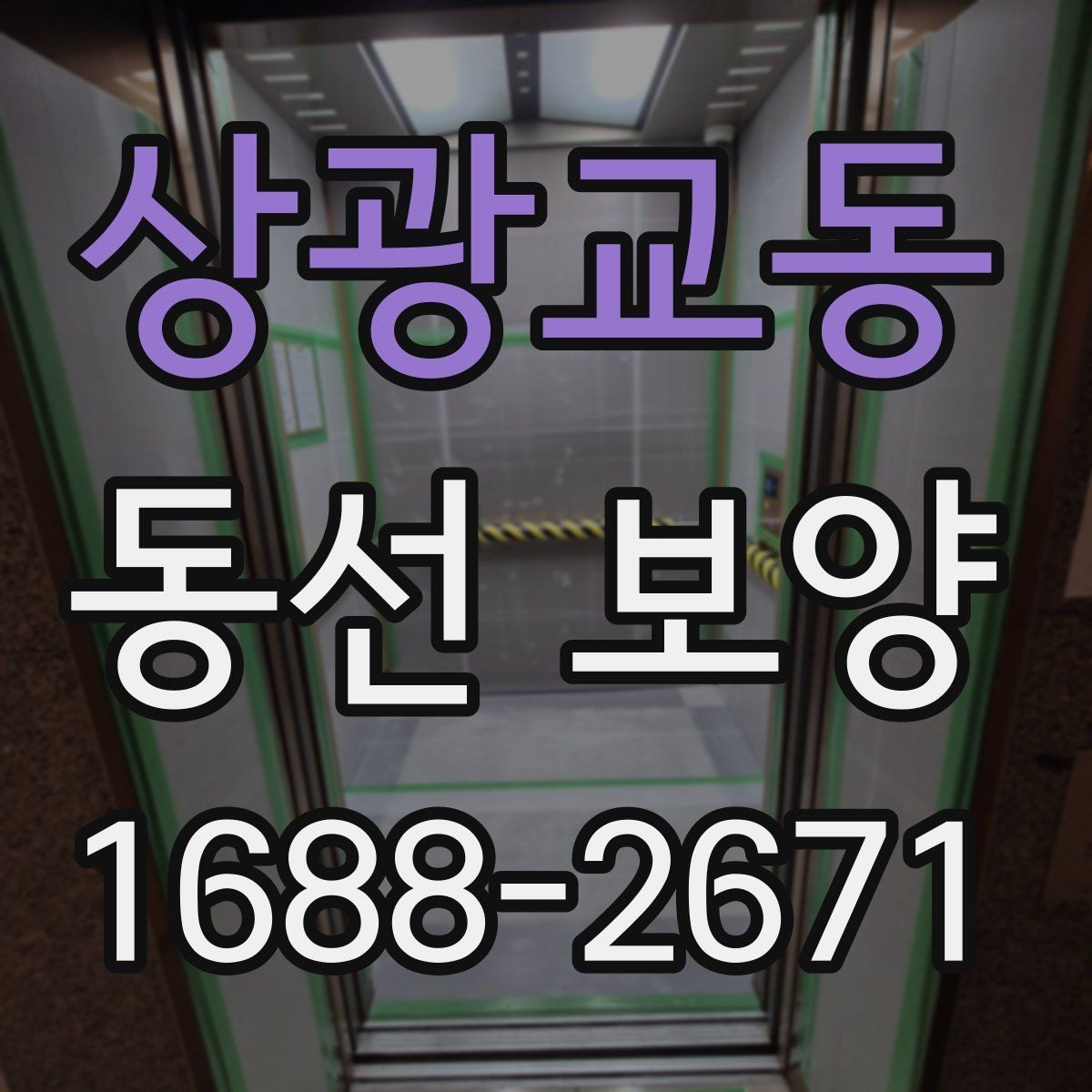 상광교동 동선 보양 작업 후 관리 방법 안내