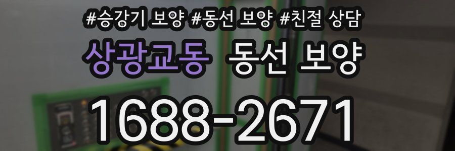 상광교동 동선 보양