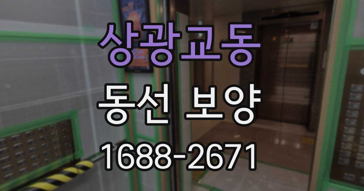 상광교동 동선 보양