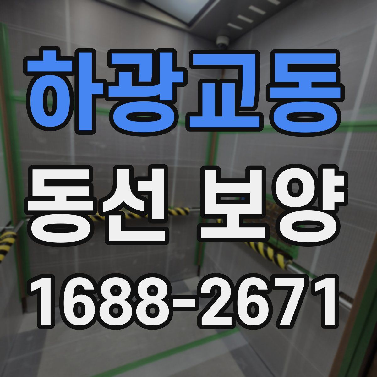 하광교동 동선 보양