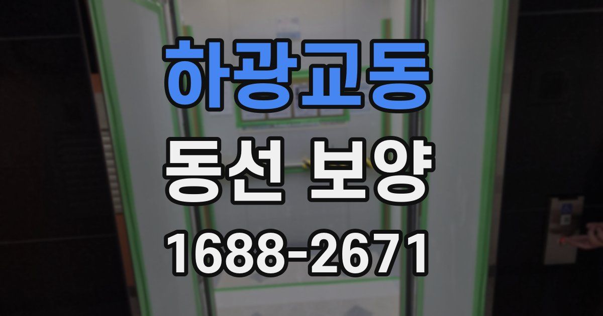 하광교동 동선 보양