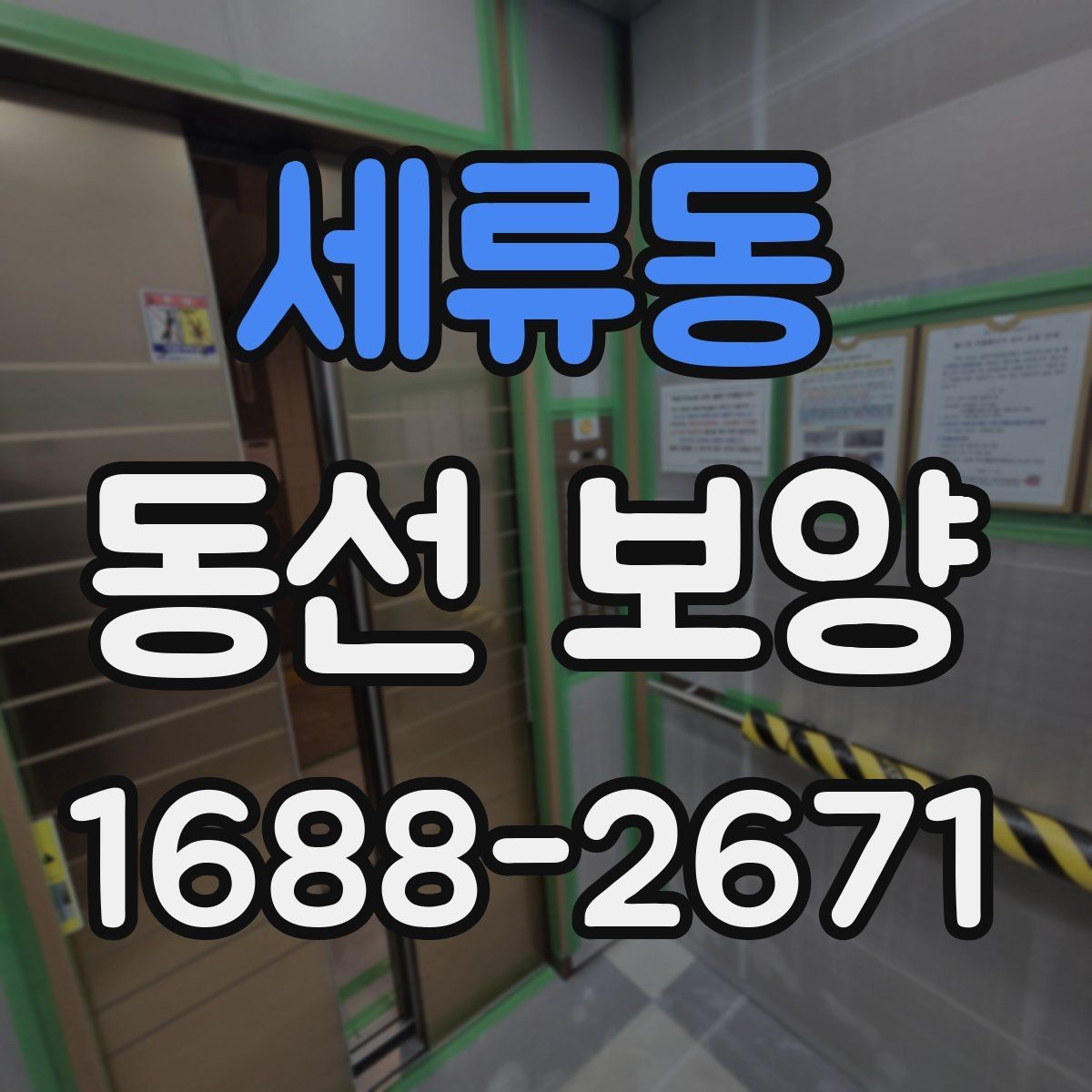 세류동 동선 보양 비용과 범위가 달라지는 상황