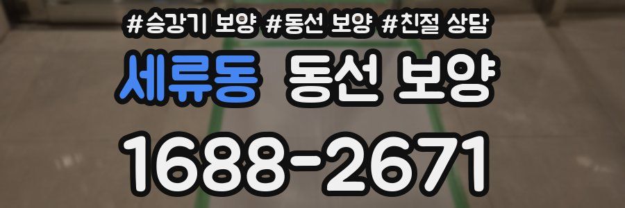 세류동 동선 보양